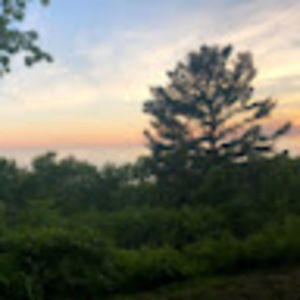 Meet your Posher, Landon